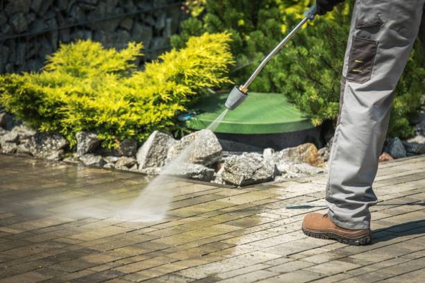 Animal Enclosure Cleaning in Ash Grove, MO