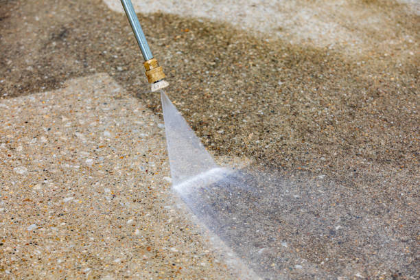 Best Driveway Pressure Washing  in Ash Grove, MO