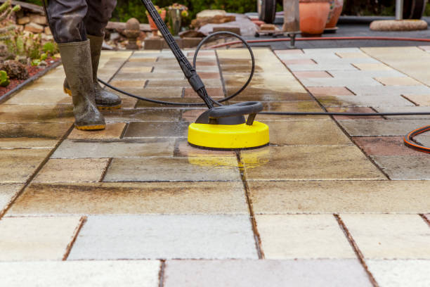Best Solar Panel Cleaning  in Ash Grove, MO